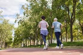 广东体彩公益金用于全民健身路径建设