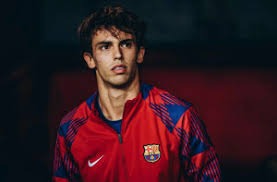 尤文vs卡利亚里：弗拉霍维奇、伊尔迪兹首发，佩林出战